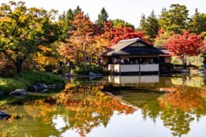 昭和記念公園　日本庭園